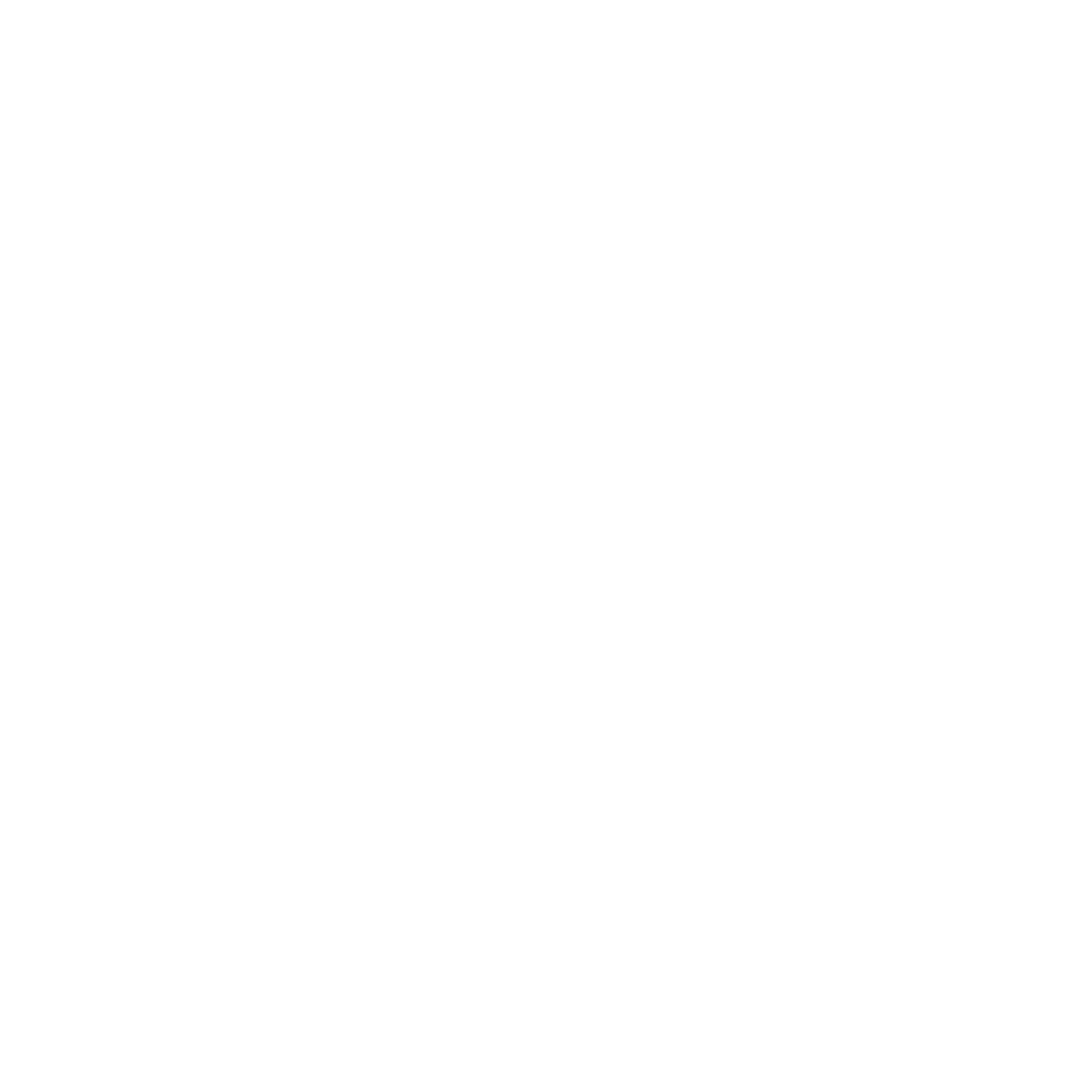 Telefon Icon